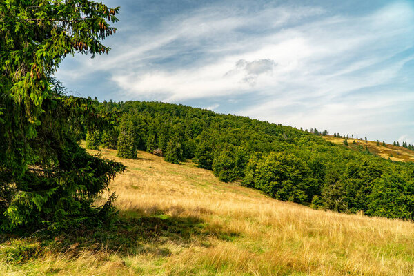 Tourist trail in the Beskids mountains.