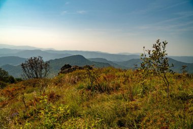 Tarnica, Halicz ve Rozsypaniec bölgesinde Bieszczady Dağları 'nda bir dağ sırası.