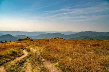Tarnica, Halicz ve Rozsypaniec bölgesinde Bieszczady Dağları 'nda bir dağ sırası.