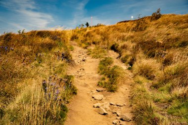 Tarnica, Halicz ve Rozsypaniec bölgesinde Bieszczady Dağları 'nda bir dağ sırası.