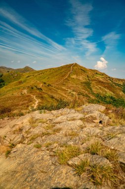 Tarnica, Halicz ve Rozsypaniec bölgesinde Bieszczady Dağları 'nda bir dağ sırası.