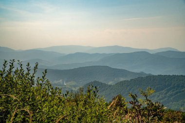 Tarnica, Halicz ve Rozsypaniec bölgesinde Bieszczady Dağları 'nda bir dağ sırası.