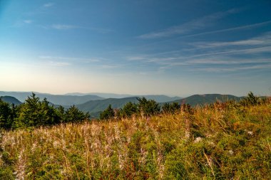 Tarnica, Halicz ve Rozsypaniec bölgesinde Bieszczady Dağları 'nda bir dağ sırası.