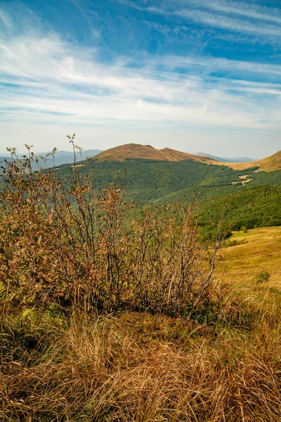 Tarnica, Halicz ve Rozsypaniec bölgesinde Bieszczady Dağları 'nda bir dağ sırası.