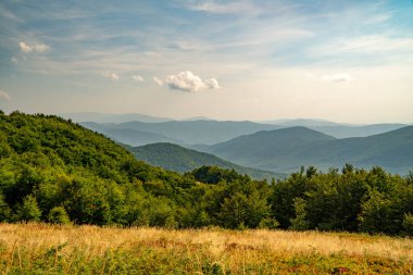 Tarnica, Halicz ve Rozsypaniec bölgesinde Bieszczady Dağları 'nda bir dağ sırası.