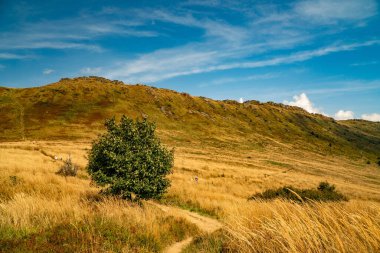 Tarnica, Halicz ve Rozsypaniec bölgesinde Bieszczady Dağları 'nda bir dağ sırası.