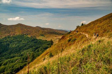 Tarnica, Halicz ve Rozsypaniec bölgesinde Bieszczady Dağları 'nda bir dağ sırası.