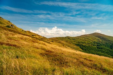 Tarnica, Halicz ve Rozsypaniec bölgesinde Bieszczady Dağları 'nda bir dağ sırası.