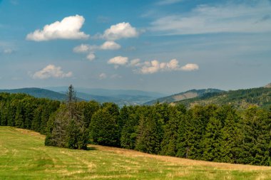 Beskids dağlarında turist gezisi.