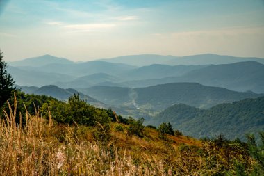 Tarnica, Halicz ve Rozsypaniec bölgesinde Bieszczady Dağları 'nda bir dağ sırası.