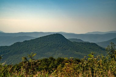 Tarnica, Halicz ve Rozsypaniec bölgesinde Bieszczady Dağları 'nda bir dağ sırası.