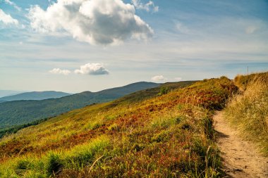 Tarnica, Halicz ve Rozsypaniec bölgesinde Bieszczady Dağları 'nda bir dağ sırası.