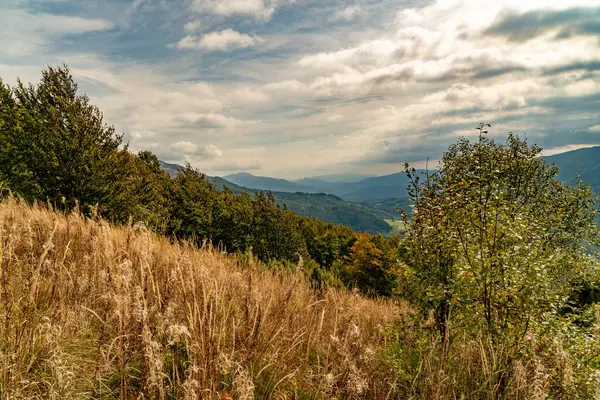 Sonbahar dağ manzarası. Polonina Wetlinska Bieszczady Dağları, Polonya.
