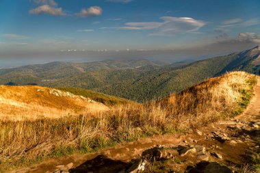 Sonbahar dağ manzarası. Polonina Wetlinska Bieszczady Dağları, Polonya.