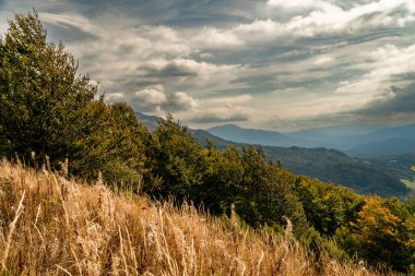 Sonbahar dağ manzarası. Polonina Wetlinska Bieszczady Dağları, Polonya.