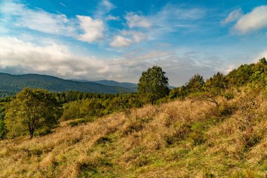 Sonbahar dağ manzarası. Polonina Wetlinska Bieszczady Dağları, Polonya.
