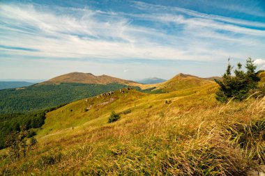 Tarnica, Halicz ve Rozsypaniec bölgesinde Bieszczady Dağları 'nda bir dağ sırası.