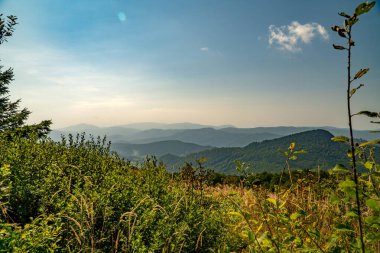 Tarnica, Halicz ve Rozsypaniec bölgesinde Bieszczady Dağları 'nda bir dağ sırası.