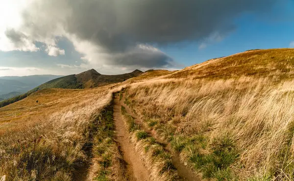 Sonbahar dağ manzarası. Polonina Wetlinska Bieszczady Dağları, Polonya.