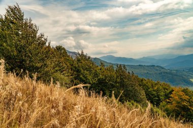 Sonbahar dağ manzarası. Polonina Wetlinska Bieszczady Dağları, Polonya.