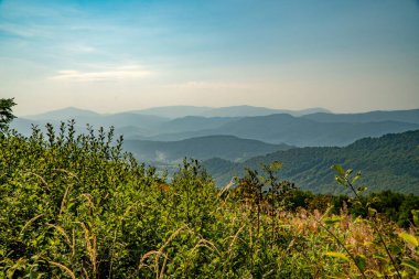 Tarnica, Halicz ve Rozsypaniec bölgesinde Bieszczady Dağları 'nda bir dağ sırası.