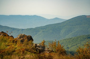 Tarnica, Halicz ve Rozsypaniec bölgesinde Bieszczady Dağları 'nda bir dağ sırası.