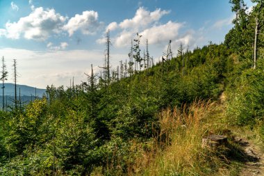 Beskids dağlarında turist gezisi.