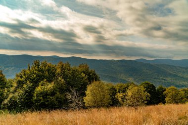 Sonbahar dağ manzarası. Polonina Wetlinska Bieszczady Dağları, Polonya.