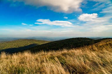 Sonbahar dağ manzarası. Polonina Wetlinska Bieszczady Dağları, Polonya.