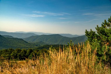 Tarnica, Halicz ve Rozsypaniec bölgesinde Bieszczady Dağları 'nda bir dağ sırası.