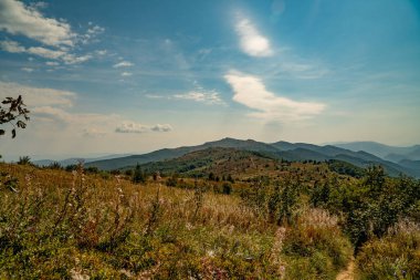 Tarnica, Halicz ve Rozsypaniec bölgesinde Bieszczady Dağları 'nda bir dağ sırası.