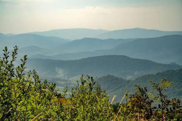 Tarnica, Halicz ve Rozsypaniec bölgesinde Bieszczady Dağları 'nda bir dağ sırası.