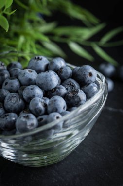 Yaban mersini antioksidan organik bir kase. Küçük alan derinliği.