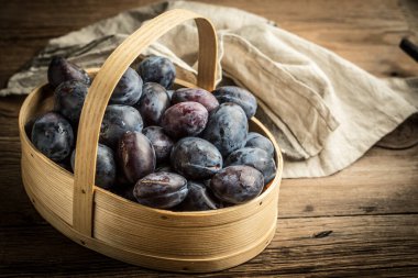 Bahçe Erik sepeti ahşap tablo.