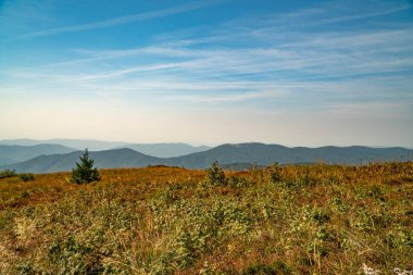 Tarnica, Halicz ve Rozsypaniec bölgesinde Bieszczady Dağları 'nda bir dağ sırası.