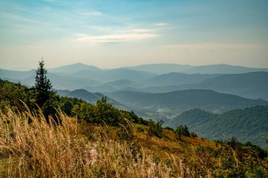 Tarnica, Halicz ve Rozsypaniec bölgesinde Bieszczady Dağları 'nda bir dağ sırası.