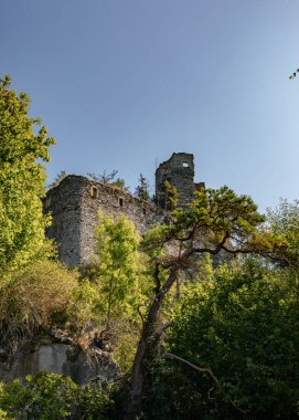 EIBENSTEIN, ALTI AUSTRIA - EPTEMBER 05, 2023: Thaya Nehri üzerindeki yüksek bir kayanın üzerindeki bir ortaçağ şatosunun kalıntıları.