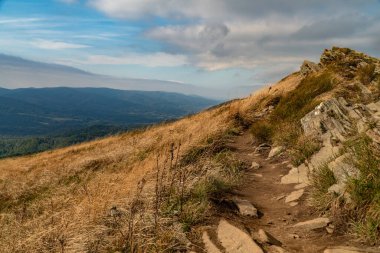Sonbahar dağ manzarası. Polonina Wetlinska Bieszczady Dağları, Polonya.