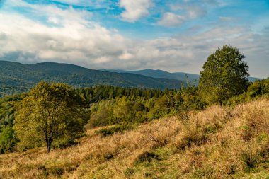 Sonbahar dağ manzarası. Polonina Wetlinska Bieszczady Dağları, Polonya.