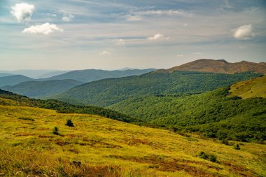 Tarnica, Halicz ve Rozsypaniec bölgesinde Bieszczady Dağları 'nda bir dağ sırası.