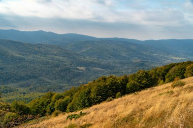 Sonbahar dağ manzarası. Polonina Wetlinska Bieszczady Dağları, Polonya.