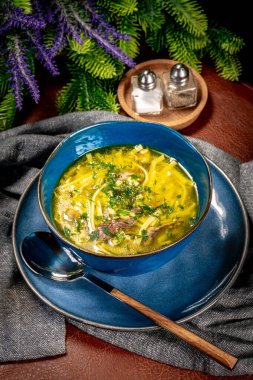 Çorba. Erişteli tavuk çorbası..