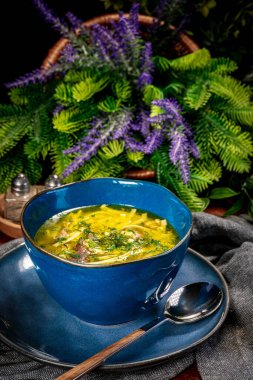 Çorba. Erişteli tavuk çorbası..