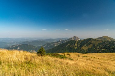 Dağların tepelerine bakan yürüyüş izleri..