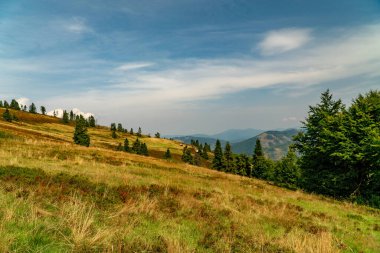 Beskids dağlarında turist gezisi.