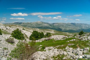 Dinarik Dağları biyolojik çeşitlilik açısından zengindir, engebeli güzellik bakımından ve doğa aşıkları için fantastik yürüyüş yolları..