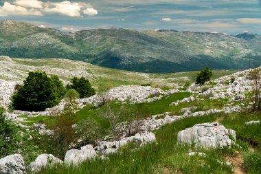 Dinarik Dağları biyolojik çeşitlilik açısından zengindir, engebeli güzellik bakımından ve doğa aşıkları için fantastik yürüyüş yolları..