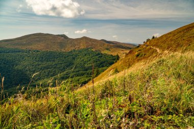 Tarnica, Halicz ve Rozsypaniec bölgesinde Bieszczady Dağları 'nda bir dağ sırası.