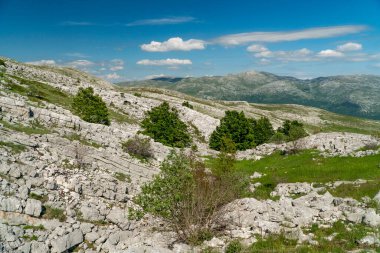 Dinarik Dağları biyolojik çeşitlilik açısından zengindir, engebeli güzellik bakımından ve doğa aşıkları için fantastik yürüyüş yolları..