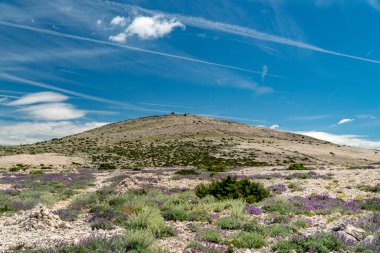 Aziz Vitus Dağı 'nın (Sveti Vid) tepesine yürüyüş yolu Pag adasının en yüksek zirvesi..